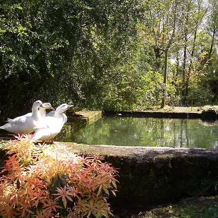 Casa Grande De Fuentemayor Country house *