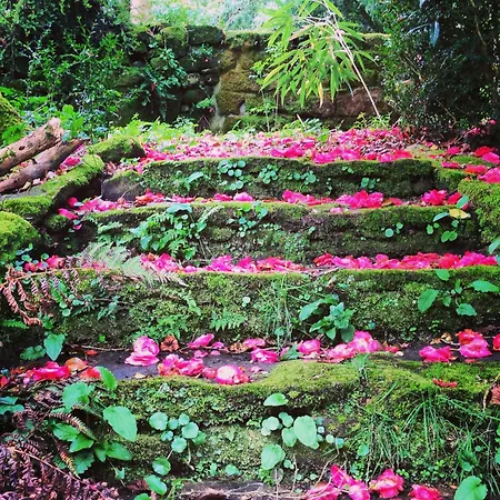 Casa Grande De Fuentemayor