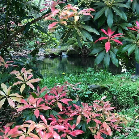 Casa Grande De Fuentemayor Εξοχικό σπίτι