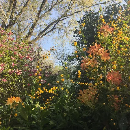 Εξοχικό σπίτι Casa Grande De Fuentemayor