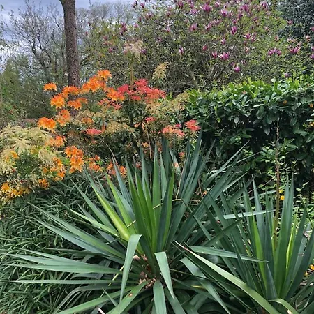 Casa Grande De Fuentemayor Silleda