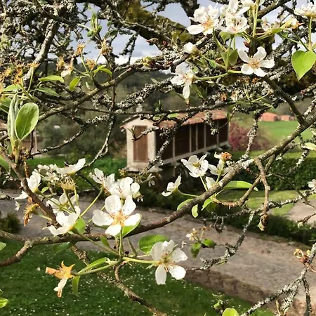 Casa Grande De Fuentemayor Εξοχικό σπίτι Silleda